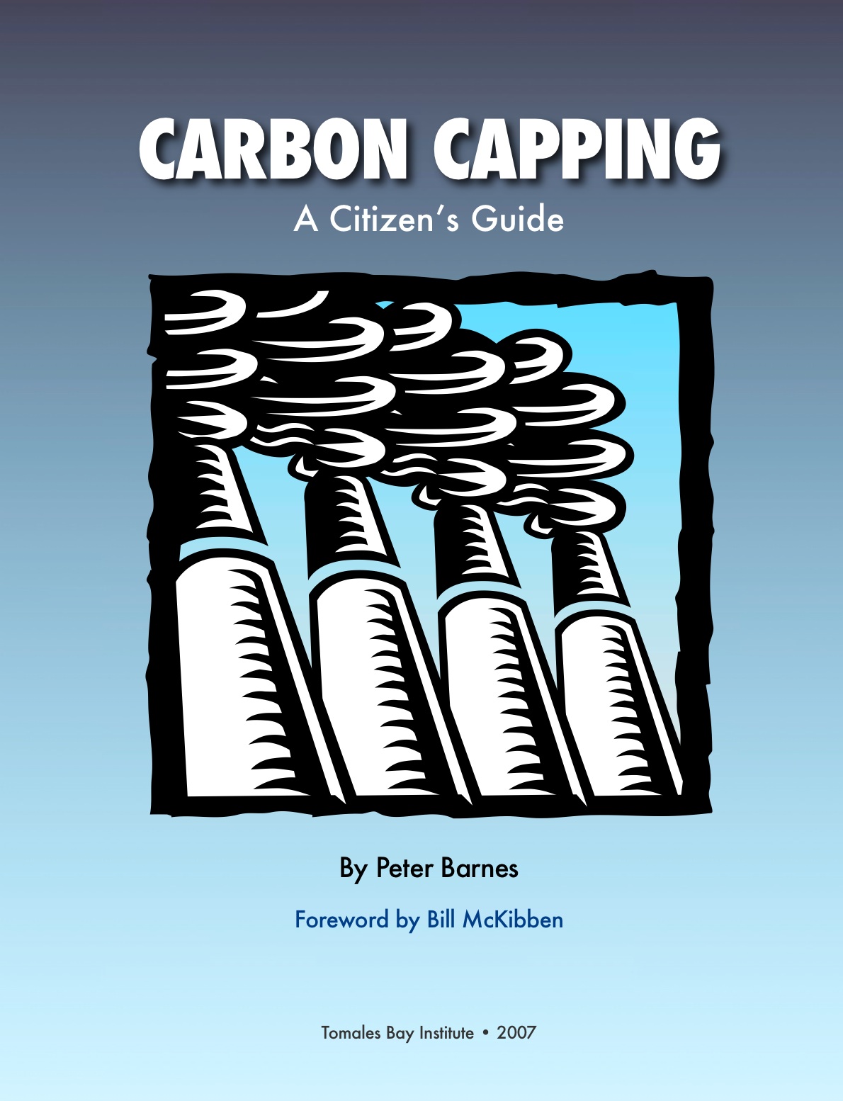 Carbon Capping: A Citizen's Guide