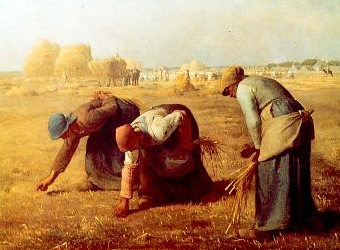 “The Gleaners and I”